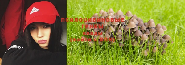 дживик Бутурлиновка