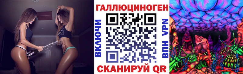 Купить где  Змеиногорск  Галлюциногенные грибы Cubensis 